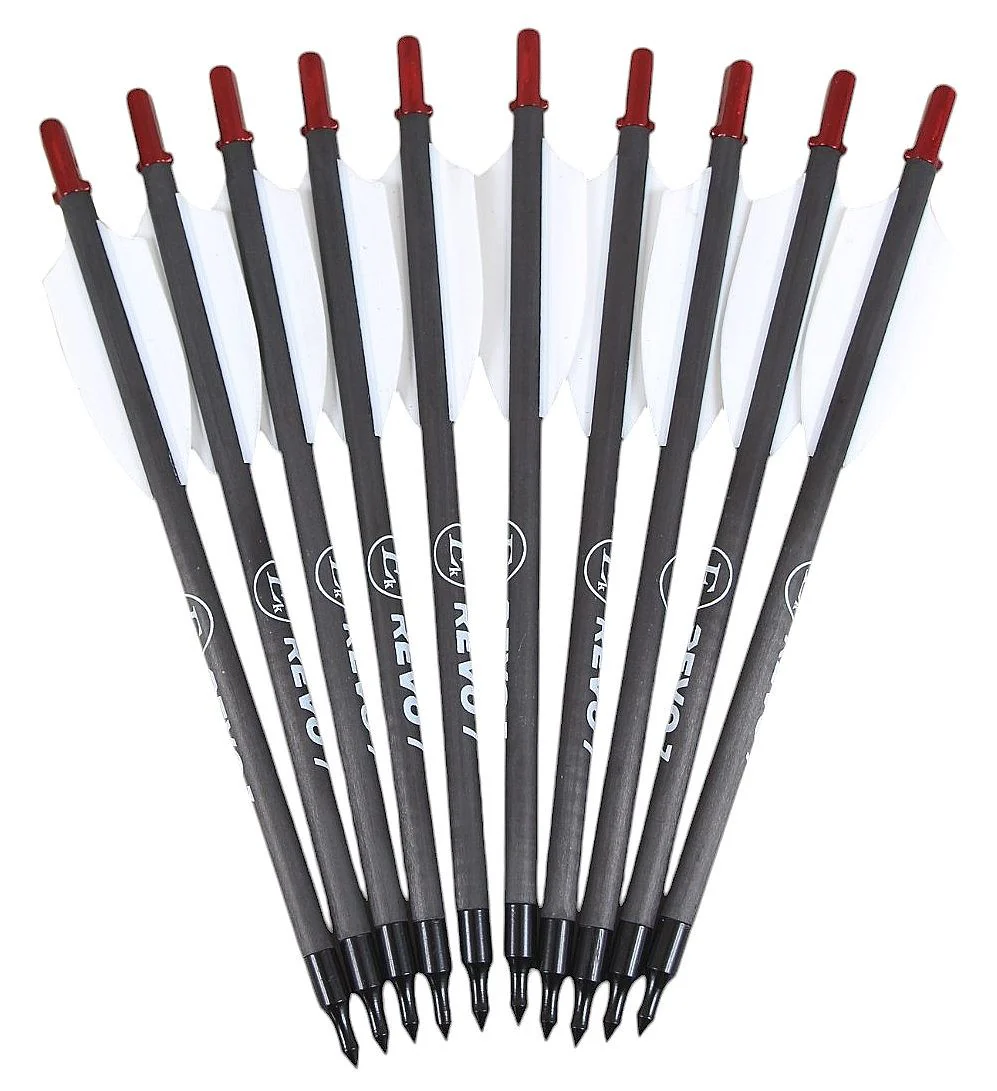 Ersatzbogen REVO 7 | 120lbs inkl. 10 Carbonpfeile - Image 2
